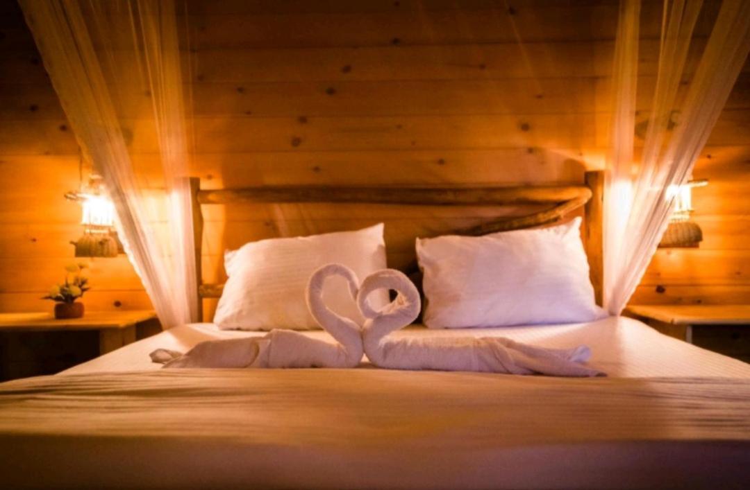 Ella Wood Cabin Luaran gambar