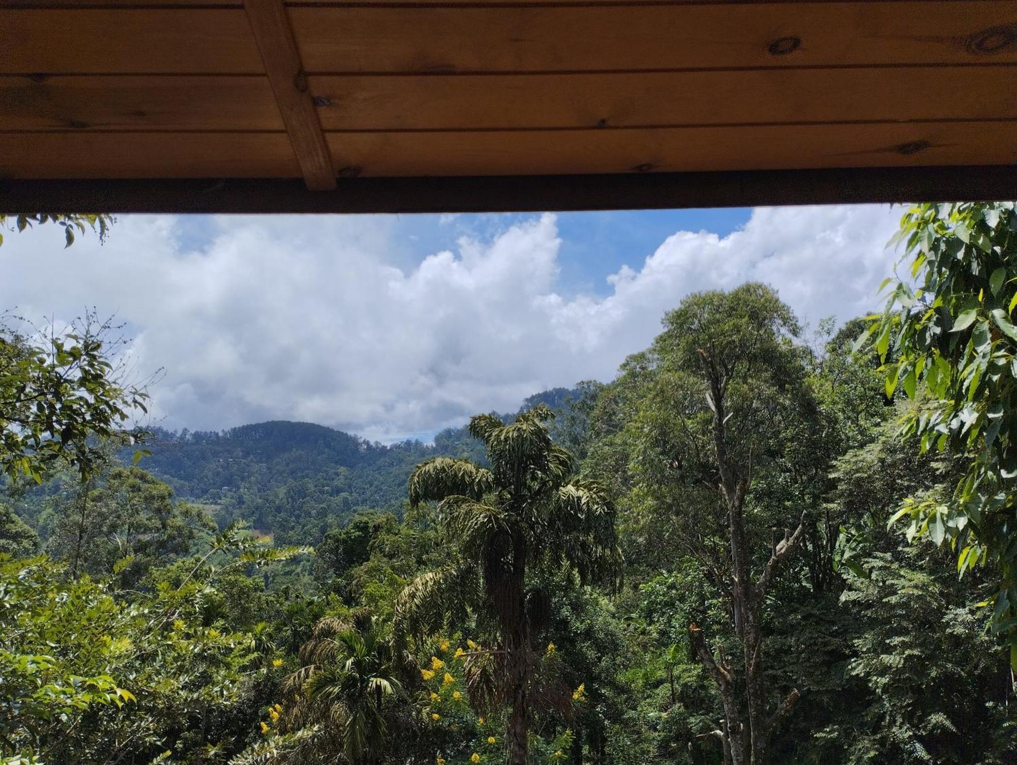 Ella Wood Cabin Luaran gambar