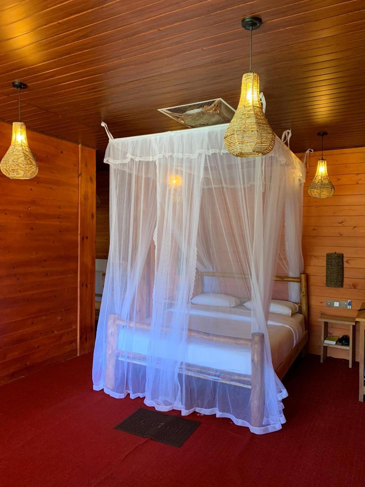 Ella Wood Cabin Bilik gambar