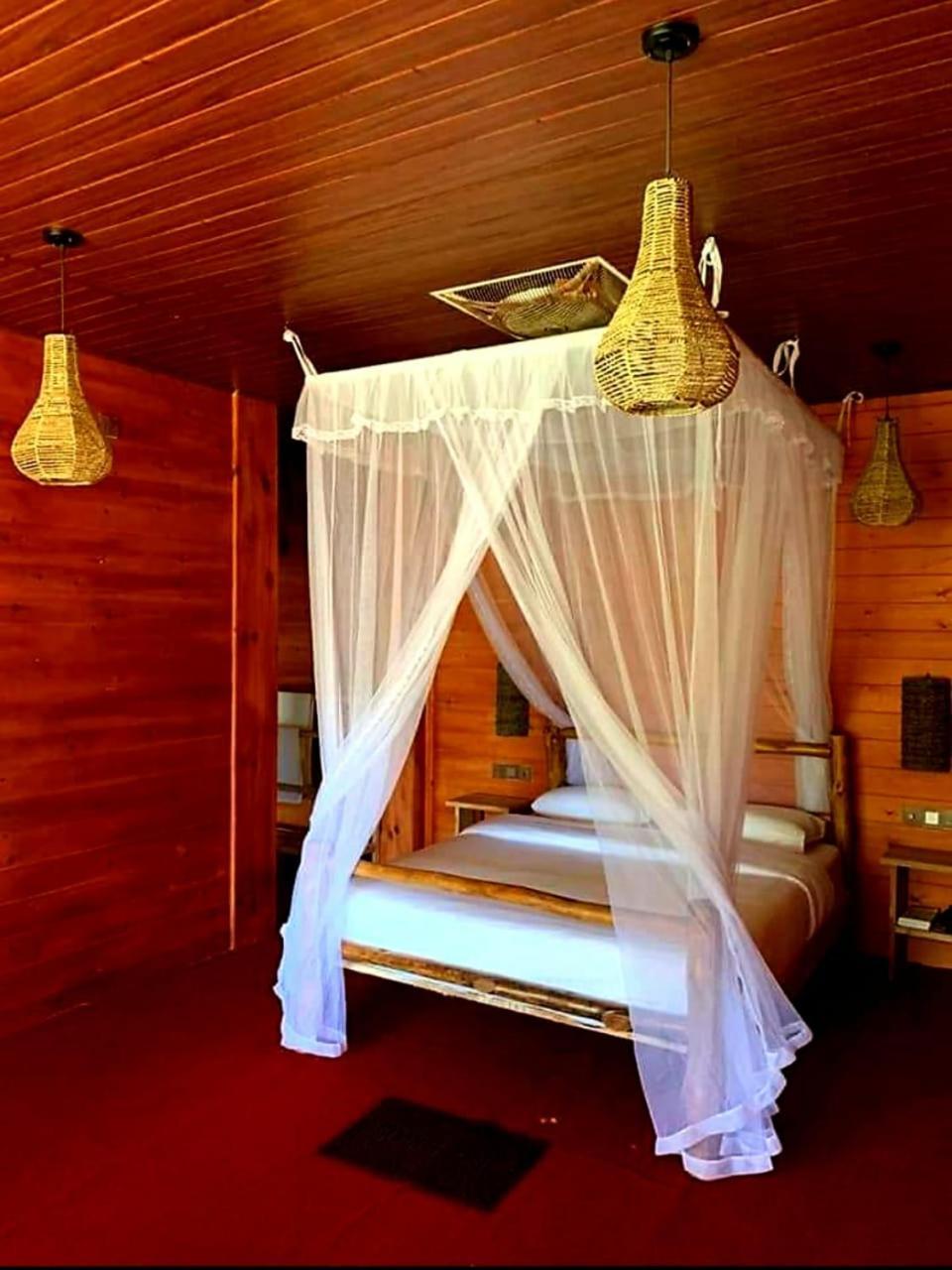 Ella Wood Cabin Luaran gambar