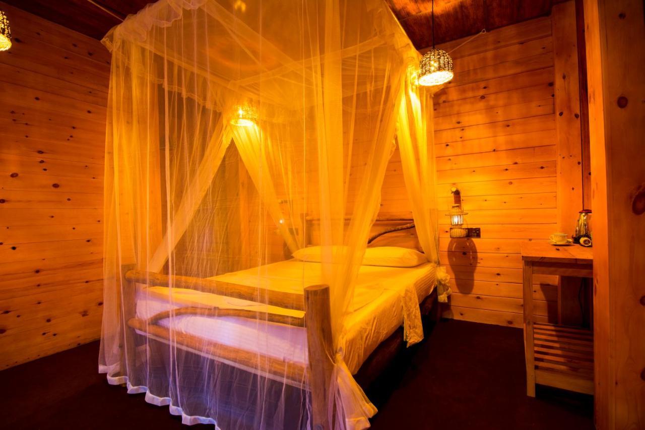 Ella Wood Cabin Luaran gambar