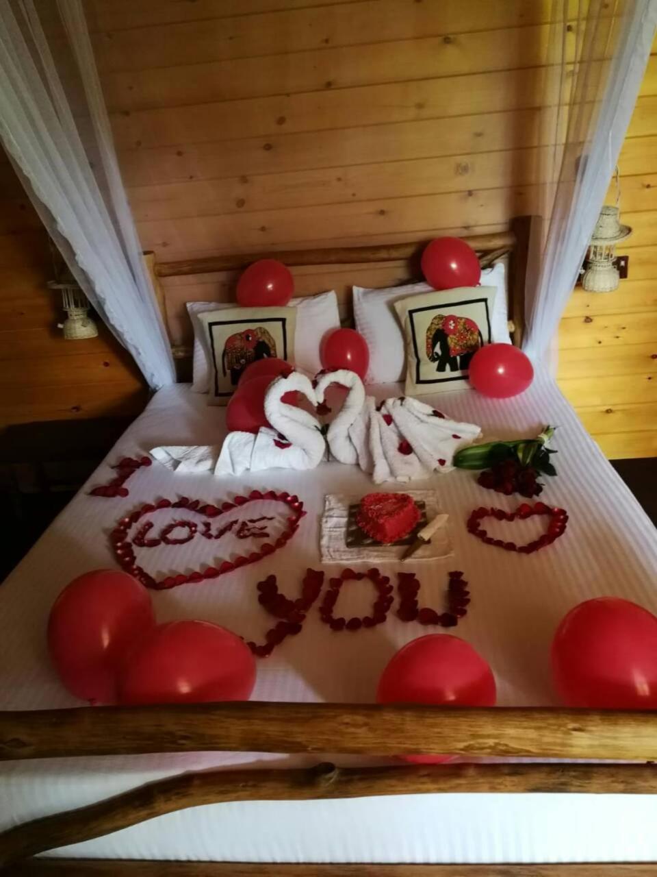 Ella Wood Cabin Luaran gambar