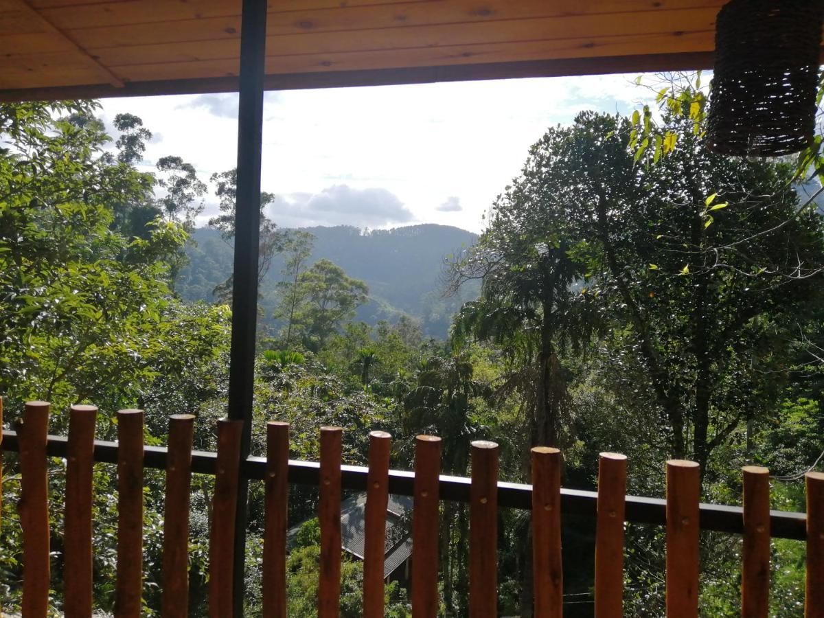 Ella Wood Cabin Luaran gambar