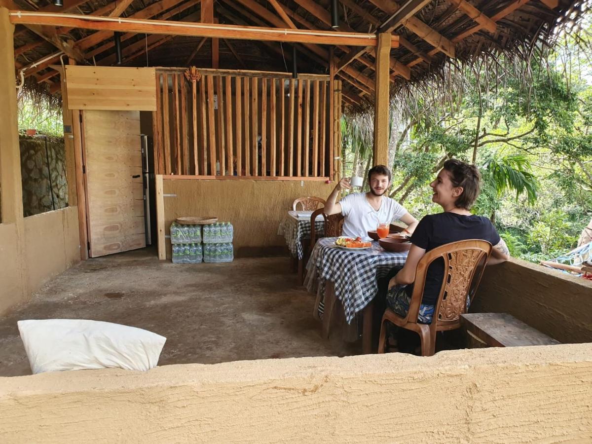 Ella Wood Cabin Luaran gambar